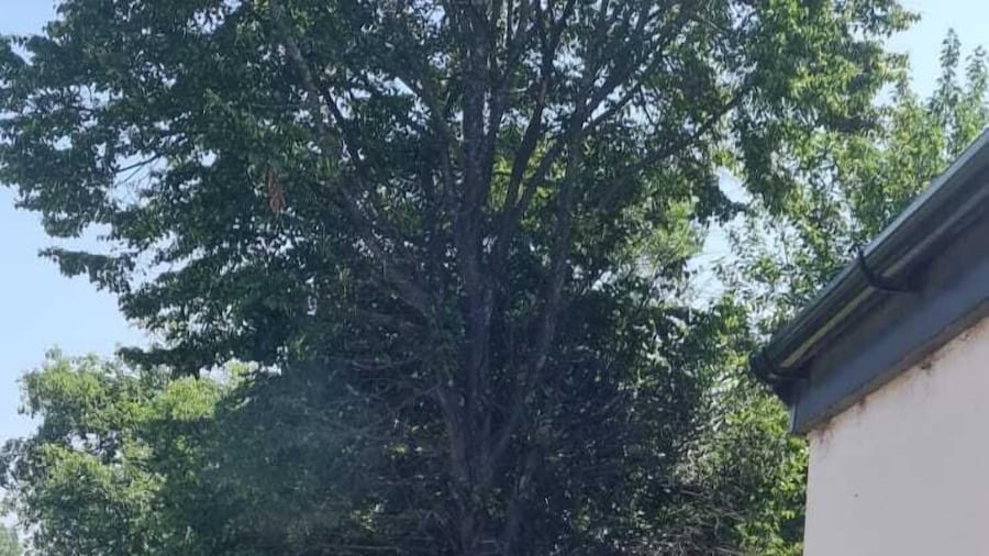 Apex Rooms at Park City