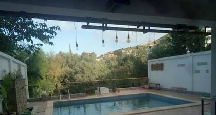 Nice and cosy apartment in Saket