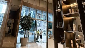 A modern interior with a large potted plant, a glass door entrance, and a display of shoes.