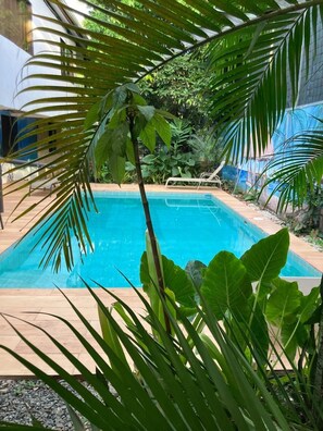 A swimming pool surrounded by lush greenery and a tiled deck. - Be My Guest Cabinas (Puerto Viejo de Talamanca)