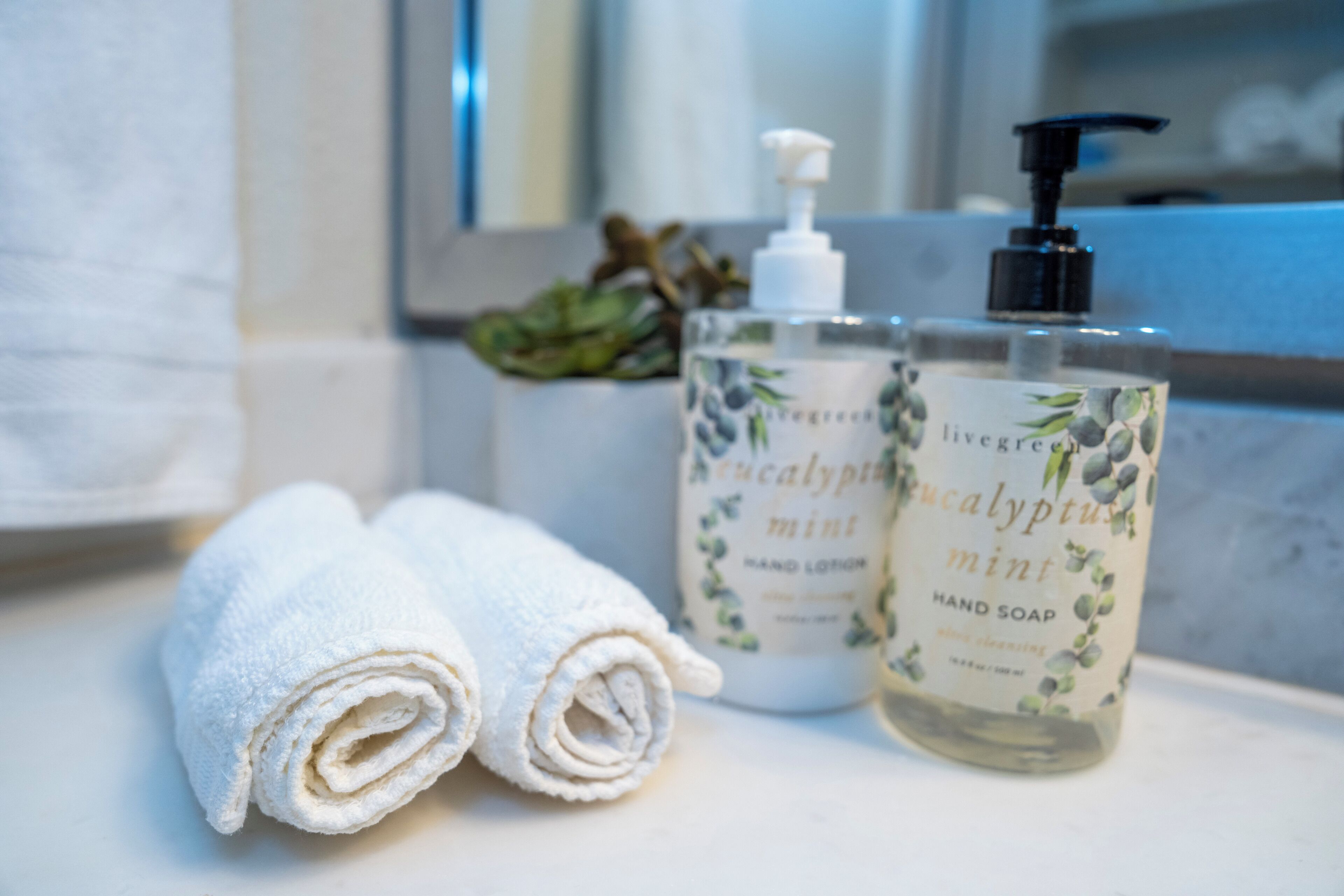 Secador de cabelo, toalhas de banho, sabonete, shampoo