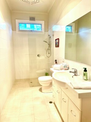 Shower, hair dryer, towels, soap - Hill Cottage, comfortable pet friendly home away from home (Clare)