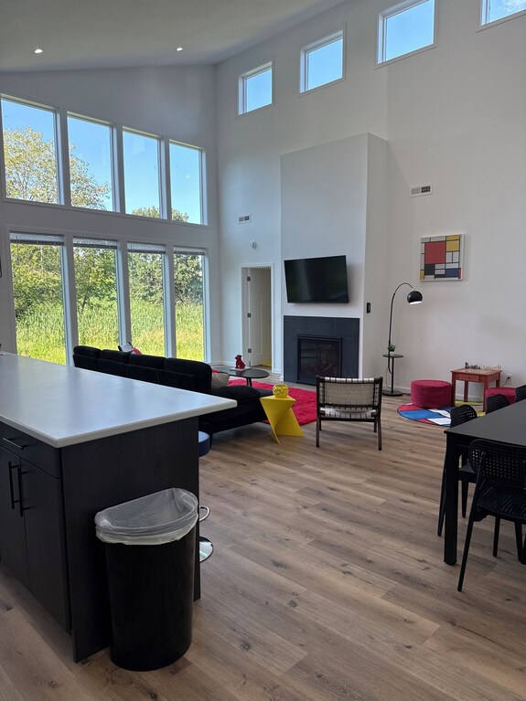 New Gorgeous Modern House Verystyled Famous Wayzata - Wayzata, MN