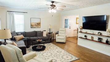 Smart TV, fireplace, books