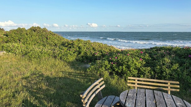 A bench with a glass of water, a grassy area, and a view of the ocean.