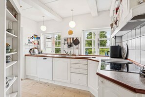 Réfrigérateur, four, lave-vaisselle, bouilloire électrique