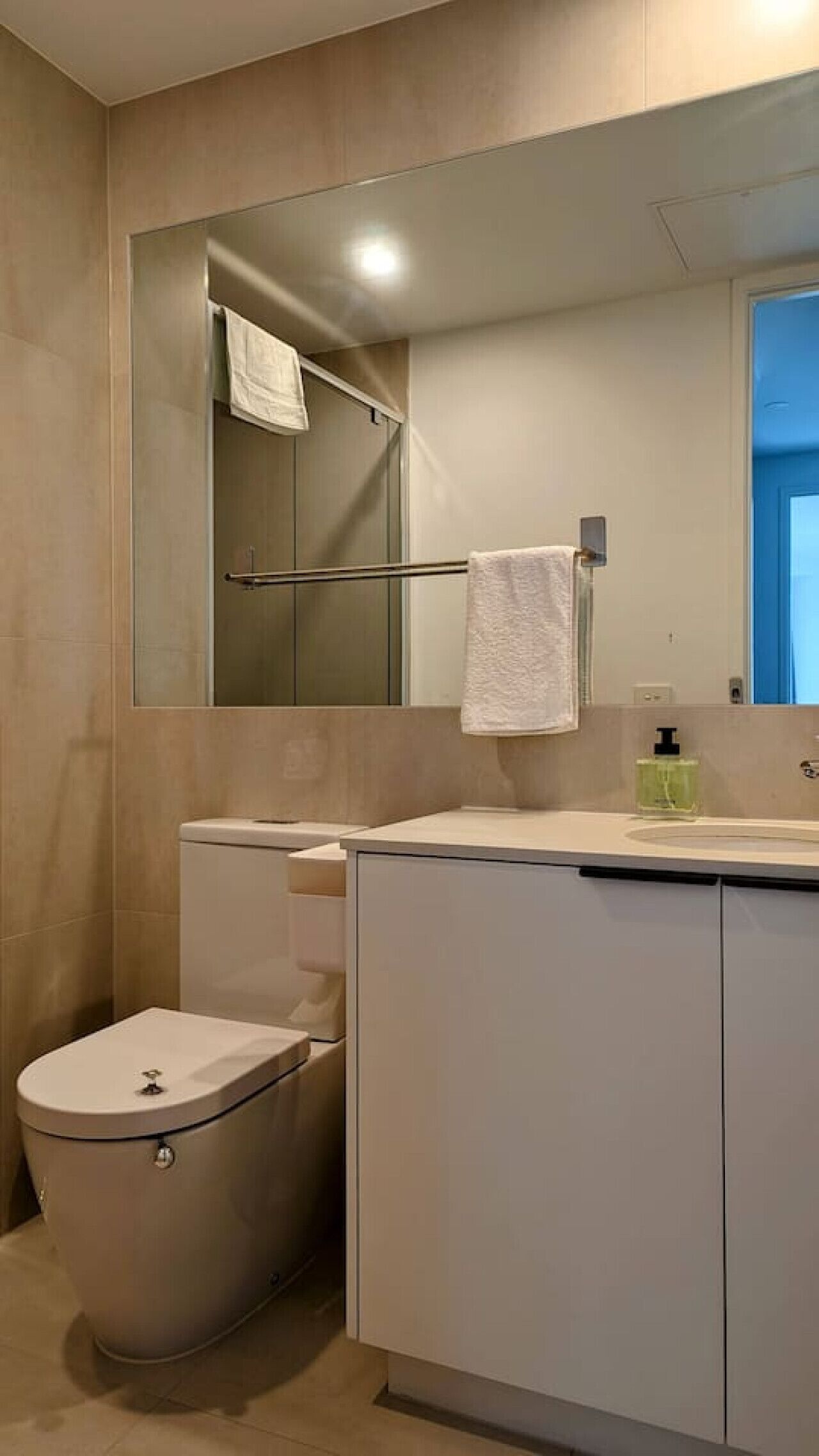 Hair dryer, towels