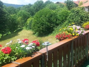 House | Property grounds