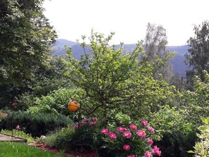 Huis | Terrein van de accommodatie