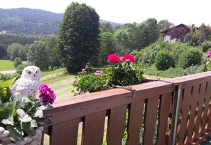Ferienhaus | Unterkunftsgelände