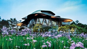 Ein modernes, ungewöhnlich geformtes Gebäude, umgeben von einem Feld violetter Blumen.