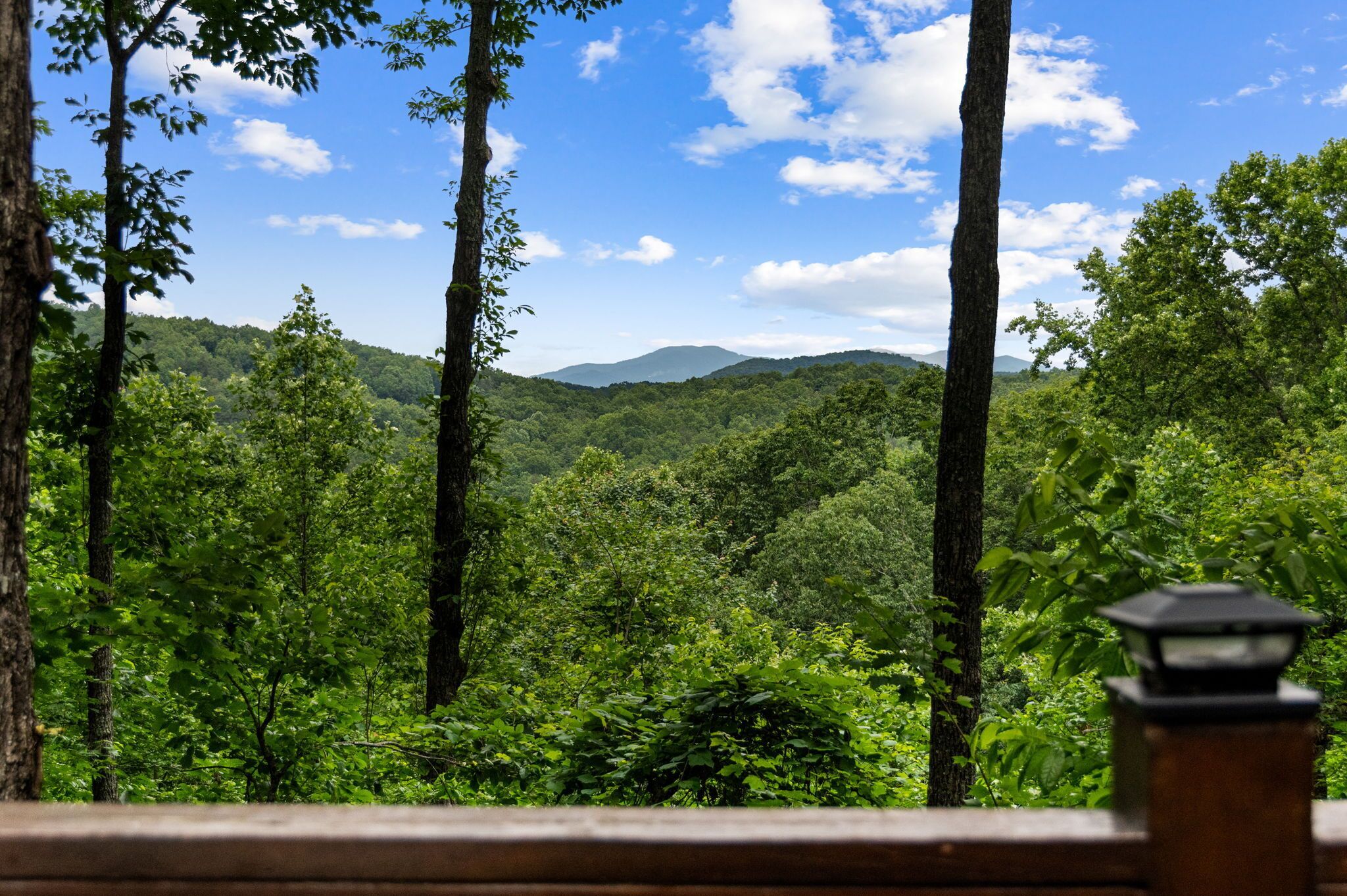 A view of a forested landscape with tall trees and a clear blue sky.