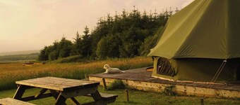 Glamping Pod - Sleeps 2 - Pets - Parking - Wifi