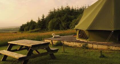 Glamping Pod - Sleeps 2 - Pets - Parking - Wifi