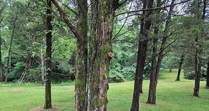 Mulberry Cabin at Lost Trails