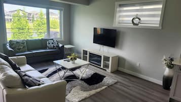 Smart-TV, Kamin, Computerbildschirme