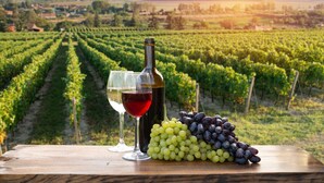 A vineyard with rows of grapevines, a wooden table with a wine bottle, glasses, and grapes.