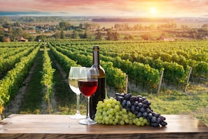 Un vigneto con file di viti, un tavolo di legno con una bottiglia di vino, bicchieri e grappoli d'uva.