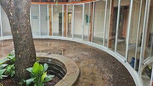 A courtyard with a tree, a concrete planter, and a building with large windows and a wooden balcony. - Bambu C Casa: Jungle stay, walking distance to Playa Marsella beach. (San Juan del Sur)