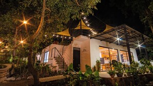 Ein modernes Haus mit überdachter Terrasse, umgeben von üppiger Bepflanzung und Lichterketten.