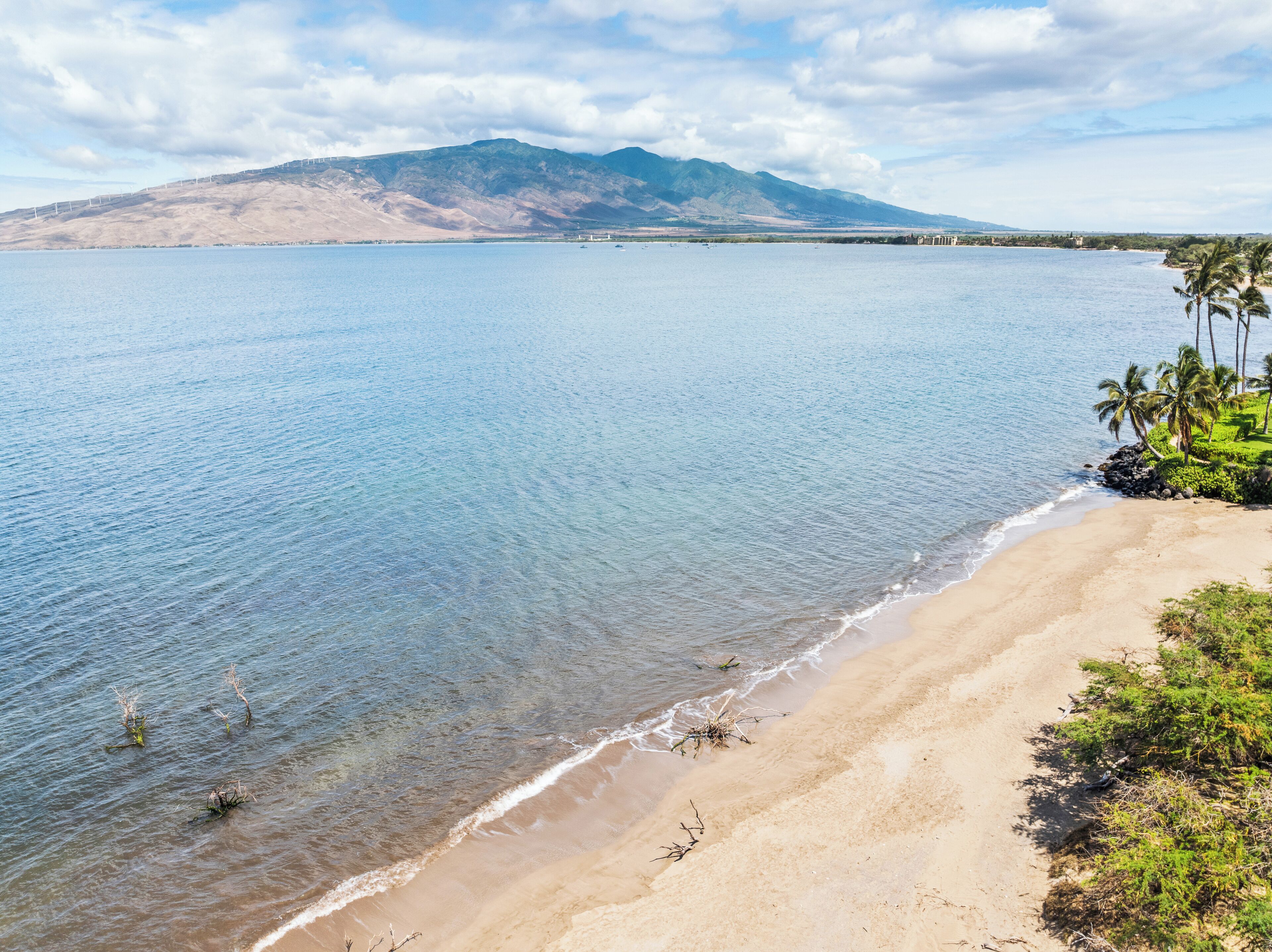 Sun-loungers, beach towels