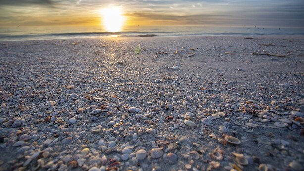 Una playa con piedras y conchas bajo un cielo al atardecer.