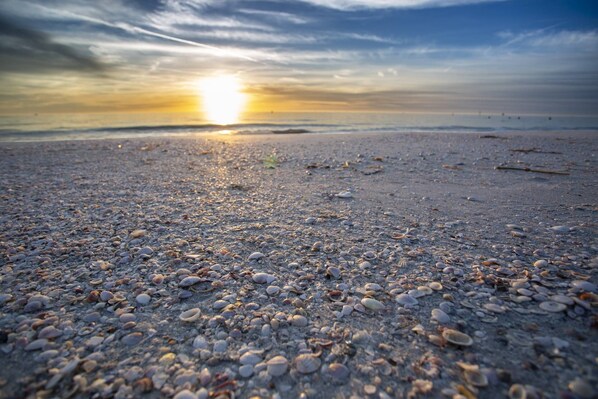 Una playa con piedras y conchas bajo un cielo al atardecer.