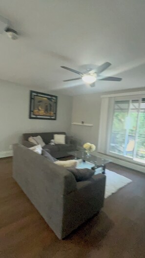 Smart TV, computer monitors