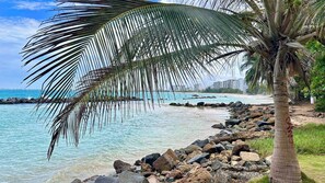 A beach with clear turquoise water, a rocky shoreline, and a palm tree.