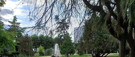 Property grounds