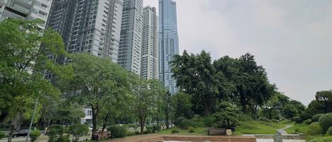 Un parque con una pasarela de madera, una zona de grava blanca y un gran árbol.