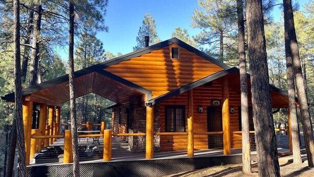 Une cabane en rondins dotée d’un porche couvert, entourée de grands arbres.