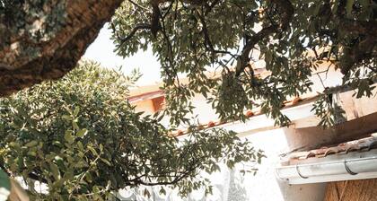 Villa Honorée - Plage des Bourdaines