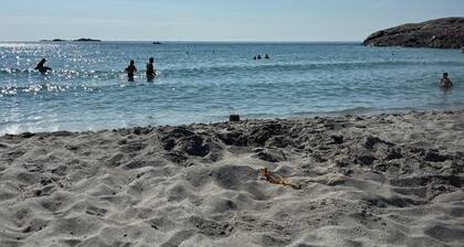 Sandve, spacious apartment, in quiet neighborhood. Sea view.