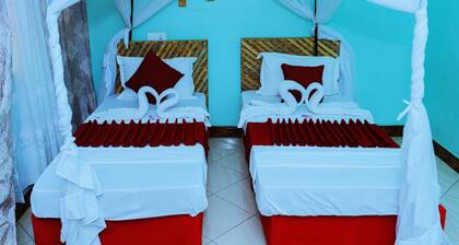 Safari Park House