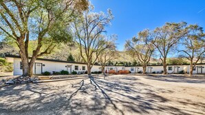 A row of single-story mobile homes with a gravel driveway and trees providing shade.