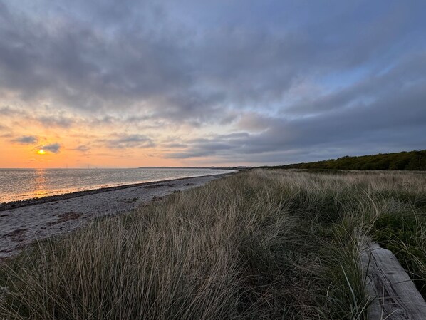 Un paisaje costero con playa, dunas cubiertas de hierba y cielo nublado.