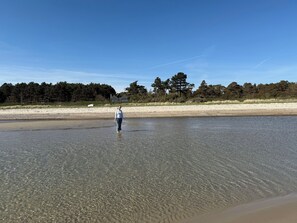 A person standing in shallow water near a beach with trees and a building in the background.
