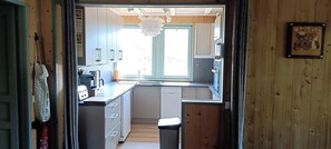 Mikrobølgeovn, ovn, kokeplater og oppvaskmaskin