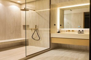 Shower, hair dryer, towels