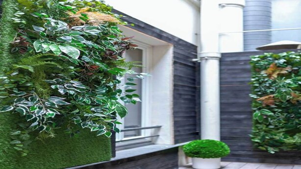 A modern building with a vertical garden on the exterior wall, a small balcony, and a potted plant on the ground.
