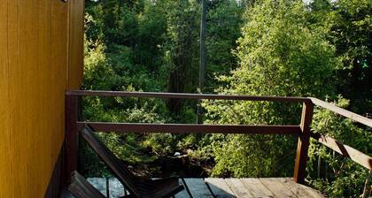 ○ ☽ ☆ Denali Starlight Cabin - Stunning Mountain Views