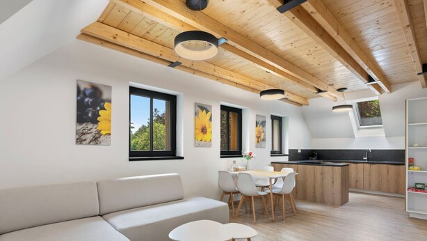 Un intérieur moderne avec un plafond en bois, un coin repas comprenant une table et des chaises blanches, un canapé et une cuisine dotée d’un plan de travail noir.