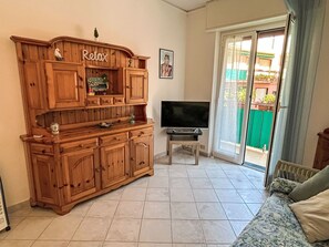Televisión 