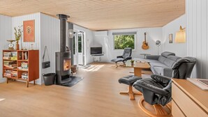 A modern living room with a wood-burning stove, a bookshelf, a grey sofa, and a TV. - "Eine" -  from the sea by Interhome (Hals)