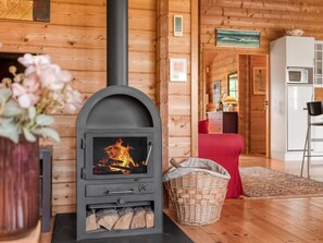 Televisión y chimenea 