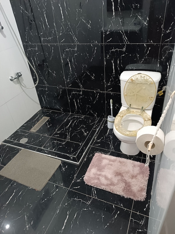 Hair dryer, towels, soap, toilet paper