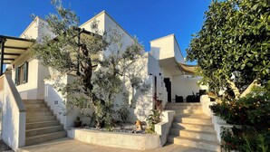 A modern house with a white exterior, a stone staircase, and a garden with various plants and flowers.