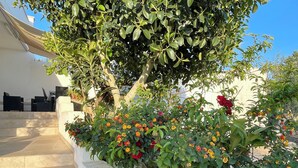 A staircase leading to a covered outdoor area with a tree and flowering plants.