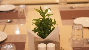 A neatly arranged dining table with plates, glasses, and a plant centerpiece. - Hotel Govind Residency (Mathura)